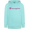 Light Sea Green