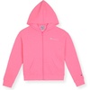 Signature Bright Pink