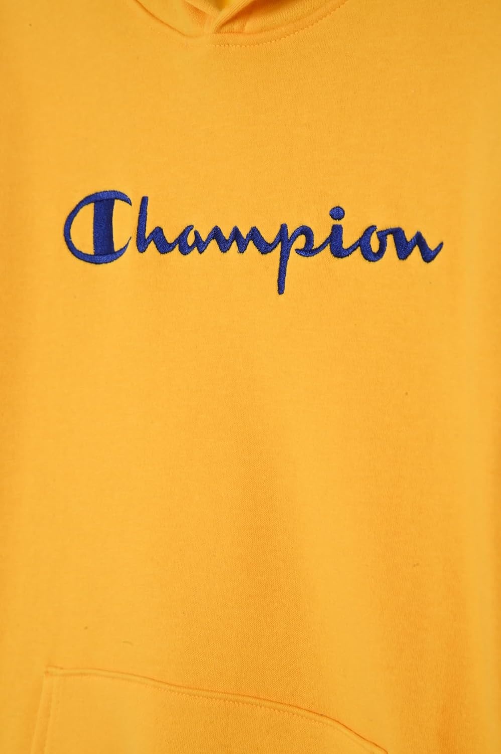 imageChampion Boys Boys Hoodie for Kids Sweatshirt Fleece Youth Pullover With HoodSignature Gold Fusion
