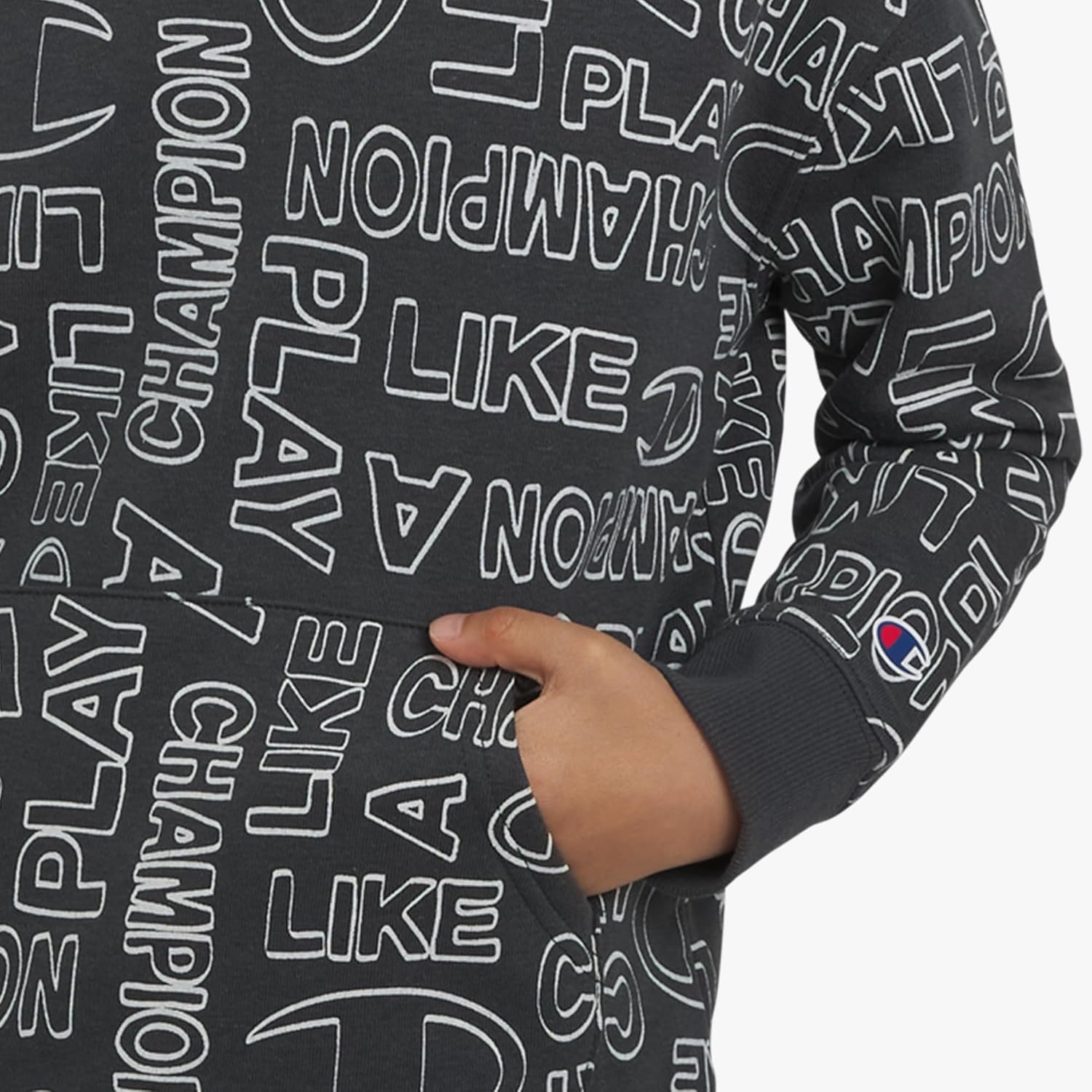 imageChampion Boys Jogger Set Fleece Hoodie and Sweatpants TracksuitIron
