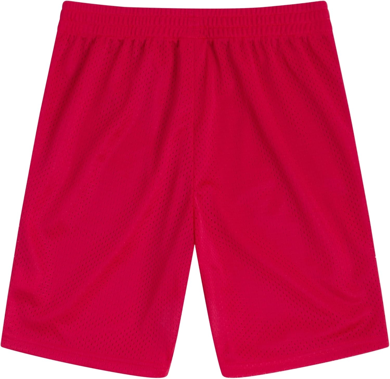 image:imageChampion Boys Shorts Athletic Mesh Basketball Shorts for BoysSignature Lychee