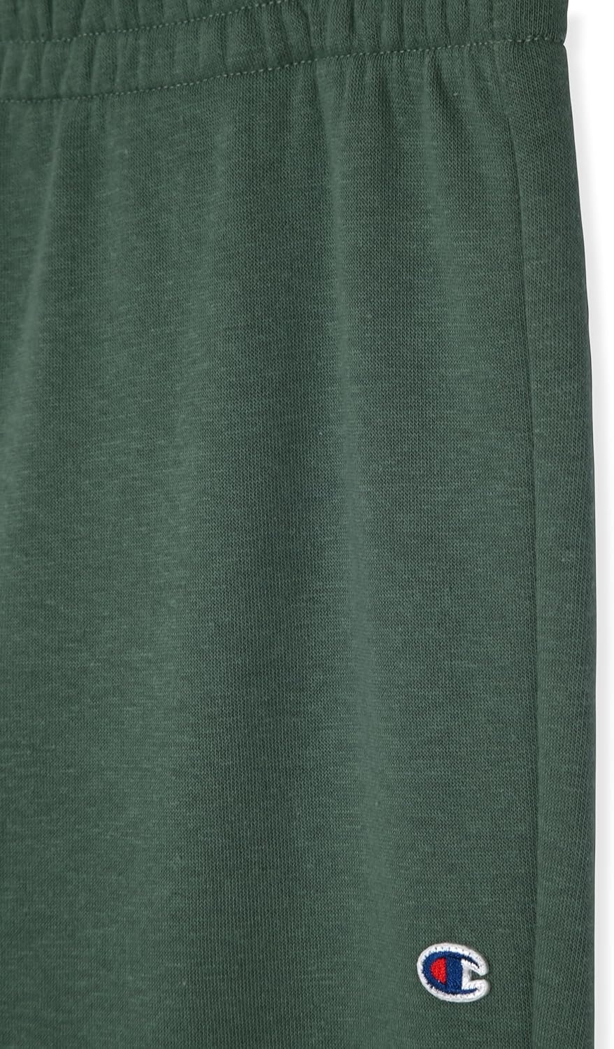 imageChampion Boys Sweatpants Active Fleece Jogger Pants for KidsDark Forest Green