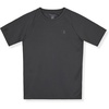 Iron Gray