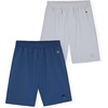 Blue-light Gray