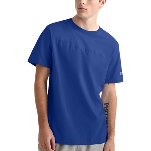 Champion Men’s Graphic Short Sleeve T-Shirt, Standard Fit, Tonal Script Logo, Midweight 100% Cotton(Surf the Web)