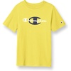 Firefly C & Script Large