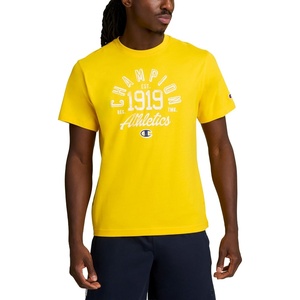 Champion Men’s Classic Graphic Short Sleeve T-Shirt, Standard Fit, Modern Retro Gothic ’19 Graphic(Freesia – Champion 1919)